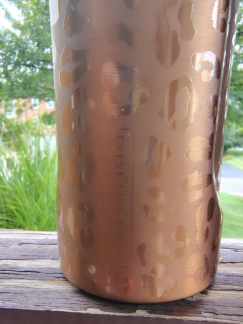 BruMate Rehydration & Multishaker Set Gold Leopard Cheetah Print 2Pc